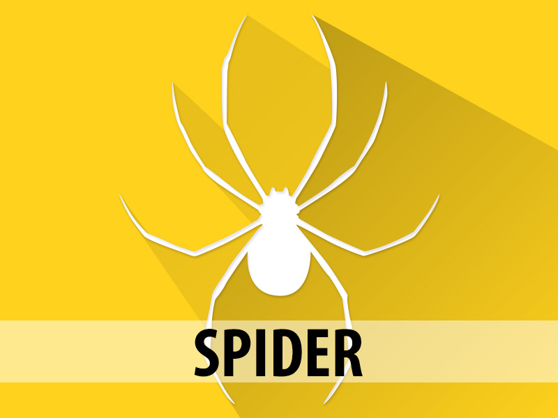 <p>Atendendo à uma demanda específica de um cliente que necessitava informações estratégicas sobre o mercado imobiliário de São Paulo para nele posicionar seus empreendimentos, nasceu o Spider.</p><p>O Spider é uma solução que utiliza coletores de dados para varrer a Internet em busca de imóveis à venda/aluguel. Esses dados são consolidados e ajudam a produzir análises únicas e vitais a partir de histogramas e mapas de calor permitindo assim um posicionamento de mercado e tomada de decisão.</p>